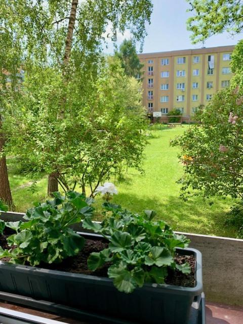 Apartman Snyt Primka Olomouc Extérieur photo
